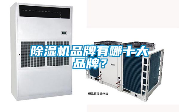 除濕機(jī)品牌有哪十大品牌?