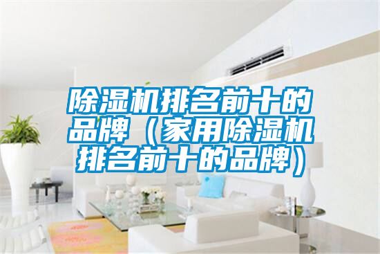 除濕機(jī)排名前十的品牌(家用除濕機(jī)排名前十的品牌)