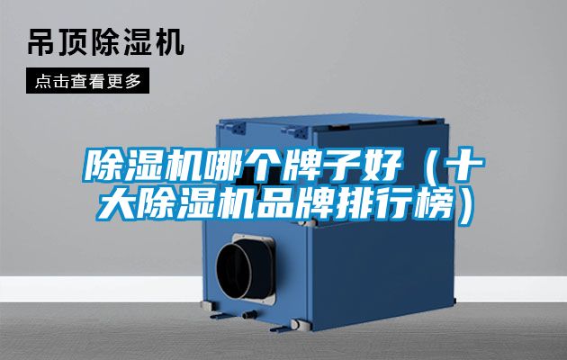 除濕機哪個牌子好(十大除濕機品牌排行榜)