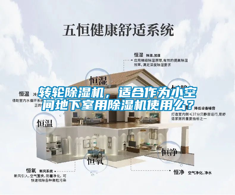 轉(zhuǎn)輪除濕機,適合作為小空間地下室用除濕機使用么?