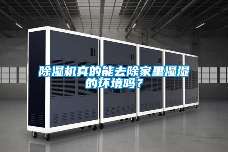 除濕機真的能去除家里濕濕的環境嗎?
