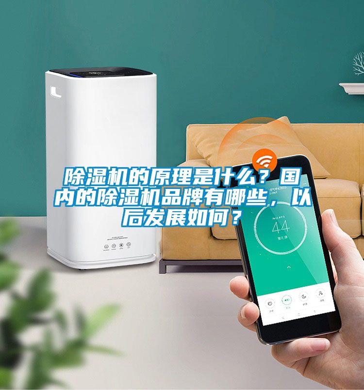 除濕機的原理是什么?國內(nèi)的除濕機品牌有哪些,以后發(fā)展如何?