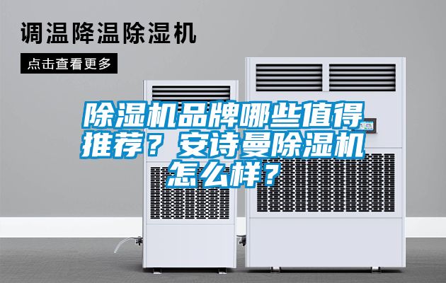 除濕機品牌哪些值得推薦？安詩曼除濕機怎么樣？