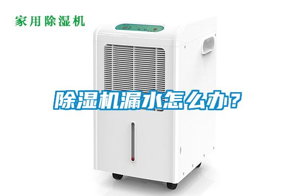除濕機漏水怎么辦?