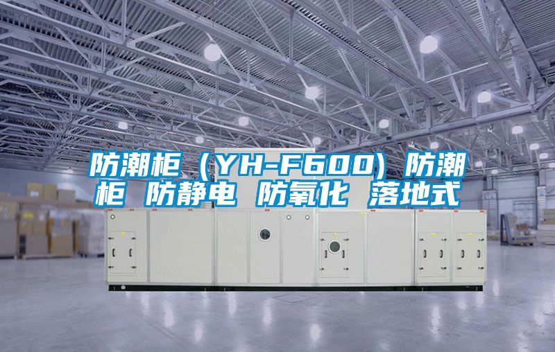 防潮柜(YH-F600) 防潮柜 防靜電 防氧化 落地式