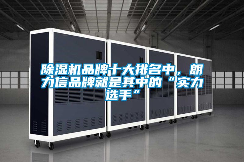 除濕機品牌十大排名中,朗力信品牌就是其中的“實力選手”