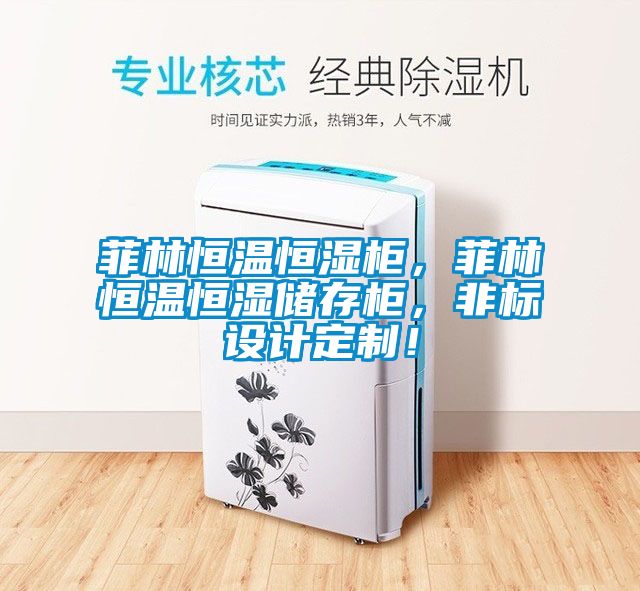 菲林恒溫恒濕柜,菲林恒溫恒濕儲存柜,非標設計定制!