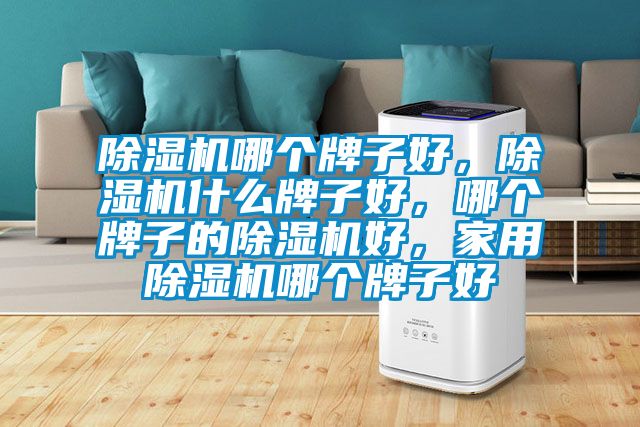 除濕機(jī)哪個牌子好,除濕機(jī)什么牌子好,哪個牌子的除濕機(jī)好,家用除濕機(jī)哪個牌子好