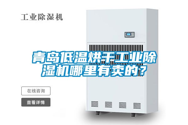 青島低溫烘干工業除濕機哪里有賣的?