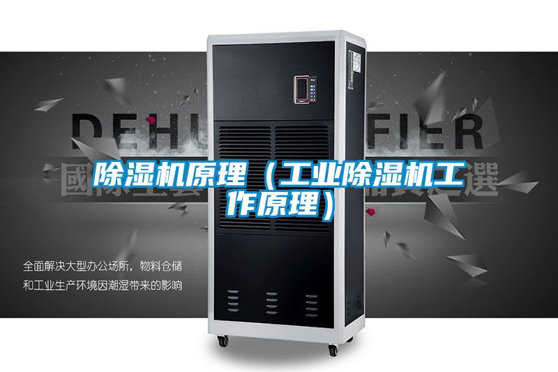 除濕機(jī)原理(工業(yè)除濕機(jī)工作原理)