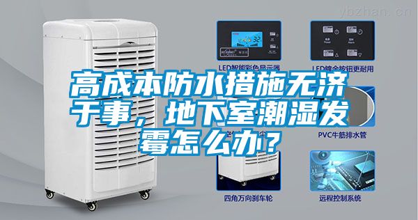高成本防水措施無濟于事,地下室潮濕發霉怎么辦?