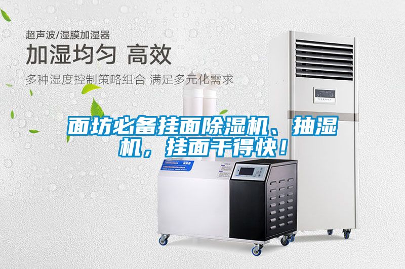 面坊必備掛面除濕機、抽濕機,掛面干得快!