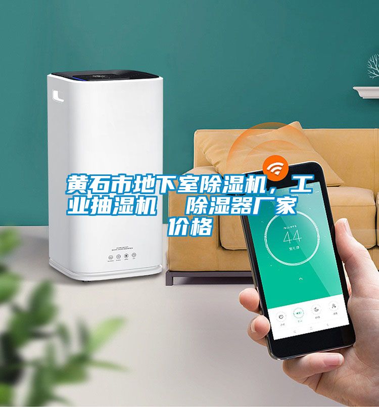 黃石市地下室除濕機，工業抽濕機  除濕器廠家 價格