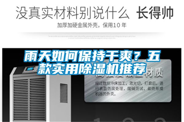 雨天如何保持干爽?五款實用除濕機推薦