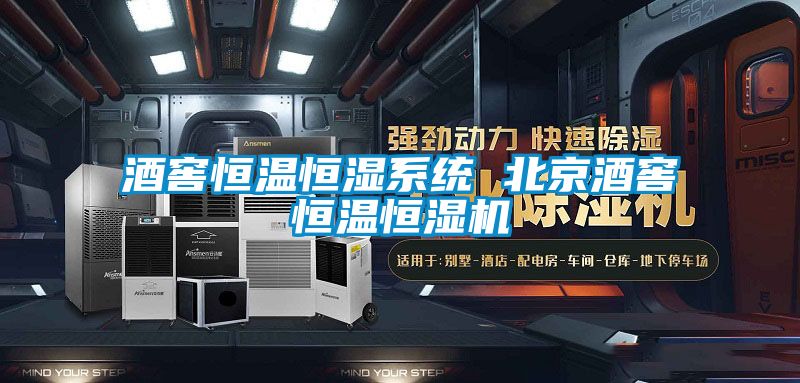 酒窖恒溫恒濕系統 北京酒窖恒溫恒濕機