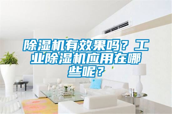 除濕機有效果嗎？工業除濕機應用在哪些呢？