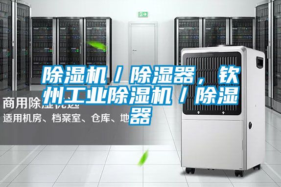 除濕機／除濕器，欽州工業除濕機／除濕器