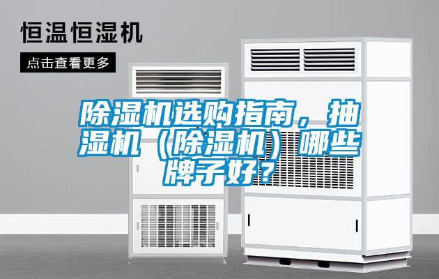 除濕機選購指南，抽濕機（除濕機）哪些牌子好？