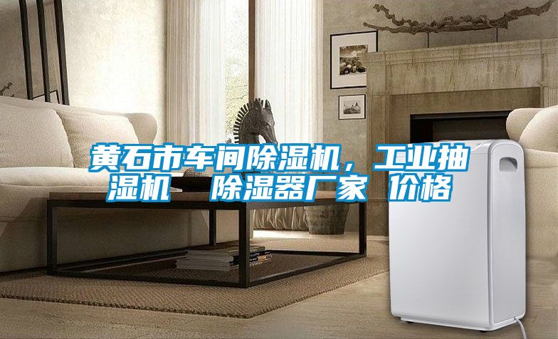 黃石市車間除濕機(jī)，工業(yè)抽濕機(jī)  除濕器廠家 價(jià)格