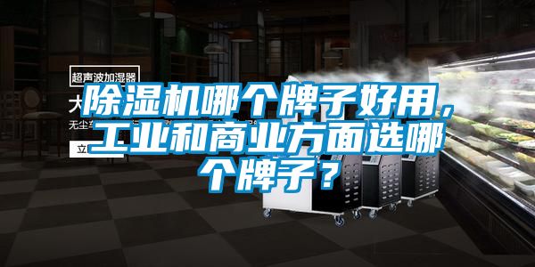 除濕機(jī)哪個牌子好用,工業(yè)和商業(yè)方面選哪個牌子?