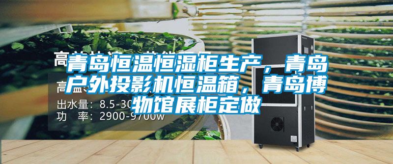青島恒溫恒濕柜生產(chǎn)，青島戶外投影機恒溫箱，青島博物館展柜定做