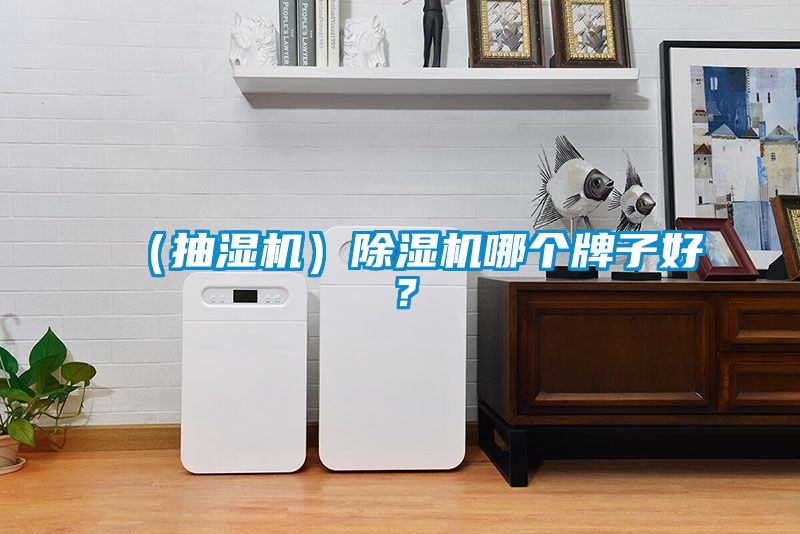 （抽濕機）除濕機哪個牌子好？