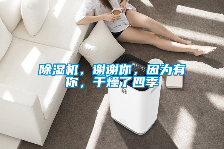 除濕機(jī)，謝謝你，因?yàn)橛心悖稍锪怂募?/></p>
						    <p style=