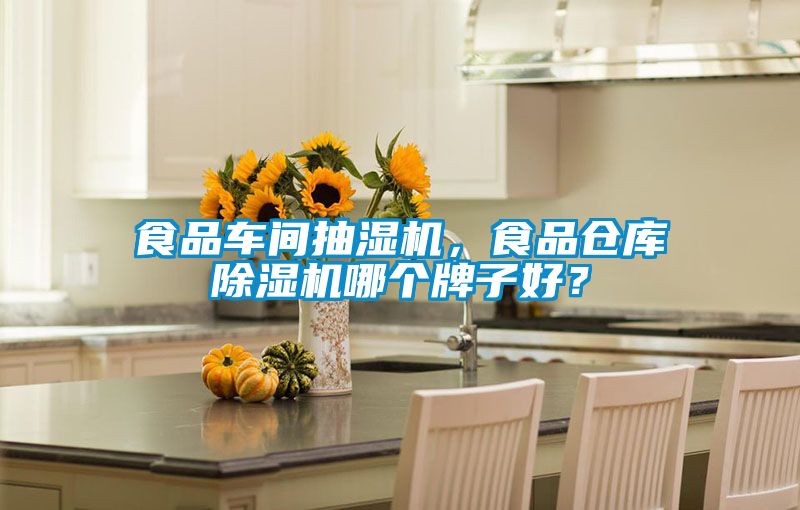 食品車(chē)間抽濕機(jī),食品倉(cāng)庫(kù)除濕機(jī)哪個(gè)牌子好?