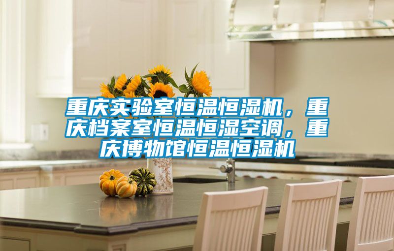 重慶實驗室恒溫恒濕機,重慶檔案室恒溫恒濕空調(diào),重慶博物館恒溫恒濕機