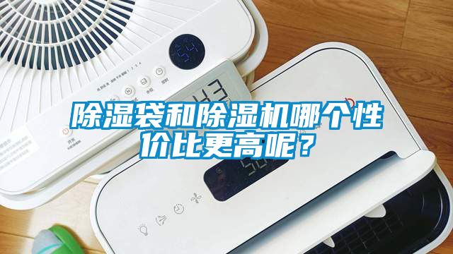 除濕袋和除濕機哪個性價比更高呢?