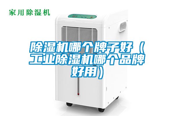 除濕機(jī)哪個牌子好(工業(yè)除濕機(jī)哪個品牌好用)