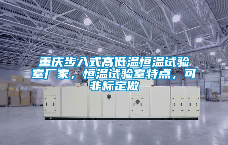 重慶步入式高低溫恒溫試驗室廠家,恒溫試驗室特點,可非標(biāo)定做
